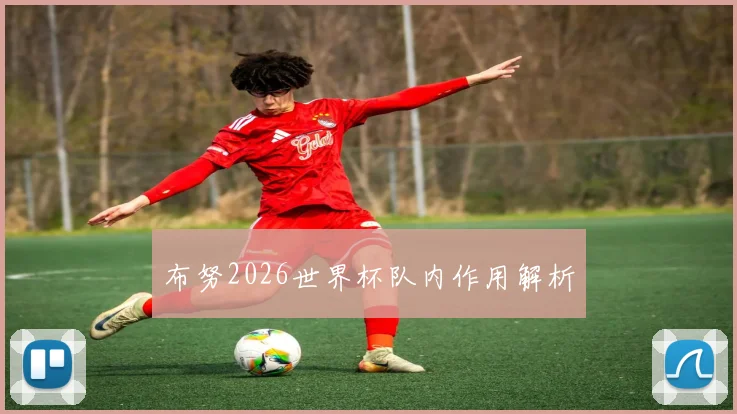 布努2026世界杯队内作用解析